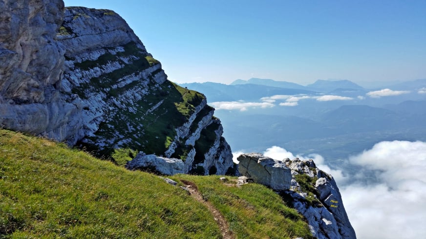 Chamois Dent de Crolles randonnée en Chartreuse