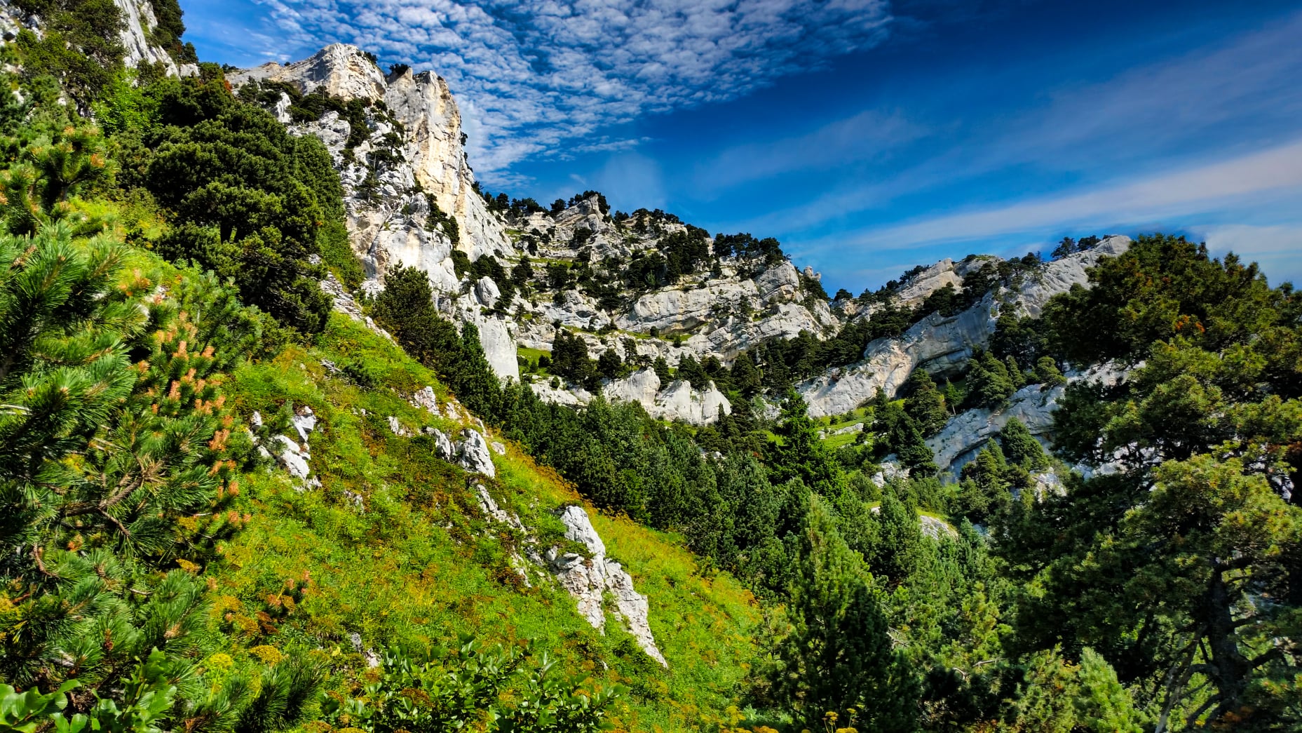 massif de la Chartreuse le Pas de Ragris paysages naturels par BAW