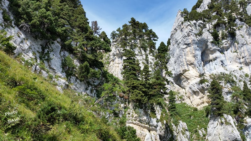 randonnée au Pas de Ragris massif de la Chartreuse