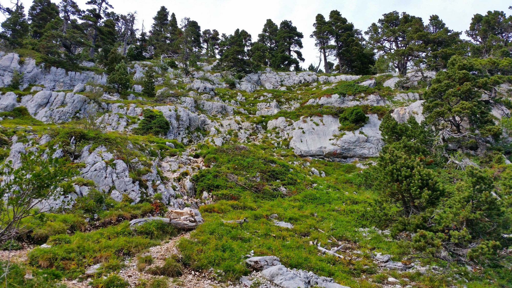 randonnée dans le  massif de la Chartreuse au Mont Granier  N