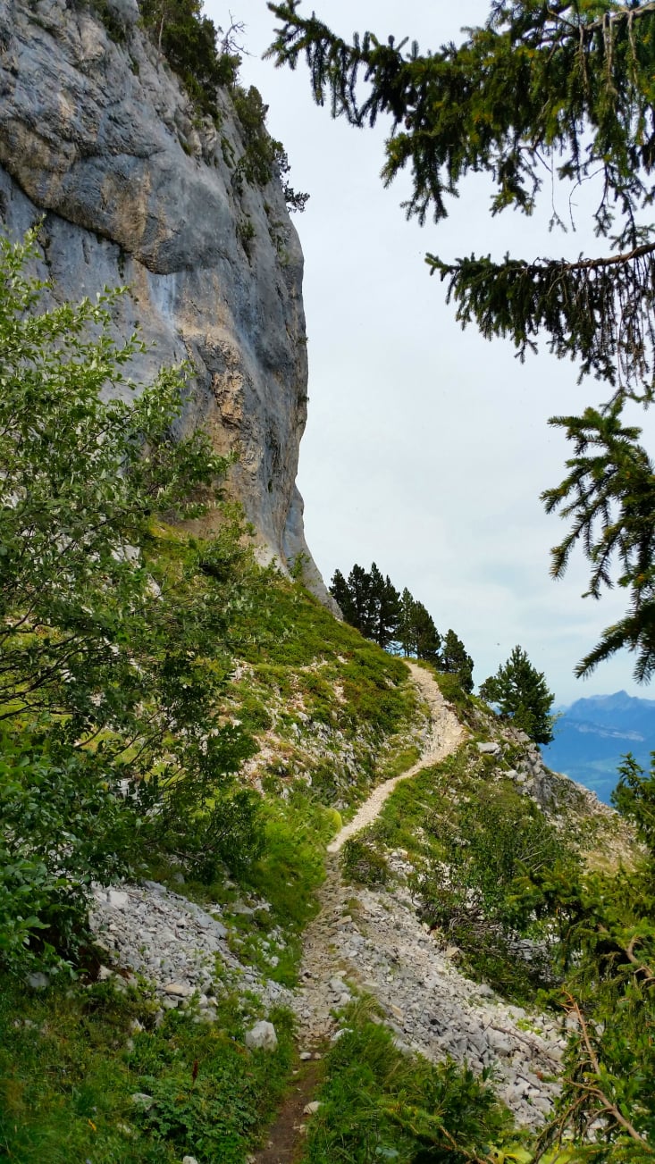 randonnée dans le  massif de la Chartreuse au Mont Granier  Pas des Barres 8