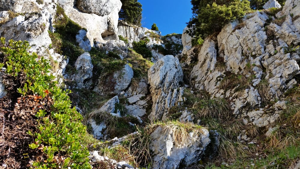 randonnée au pas de Montbrun massif de la Chartreuse