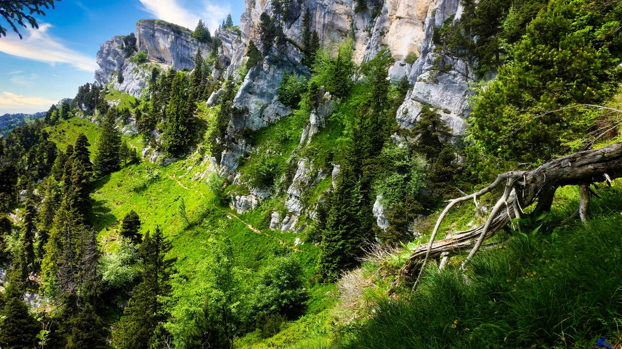 sangle de Belles ombres randonnée en Chartreuse