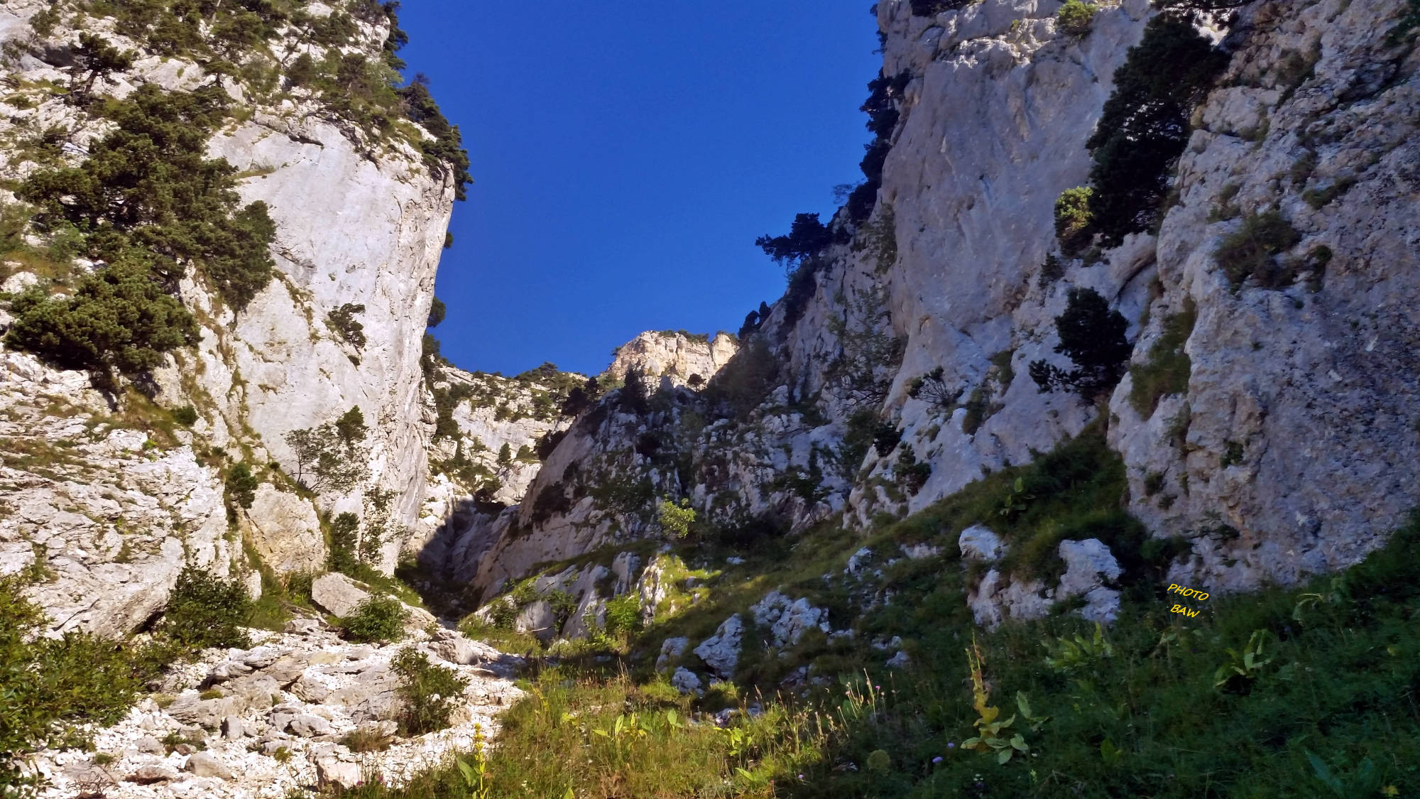sangle de la tour percée en chartreuse