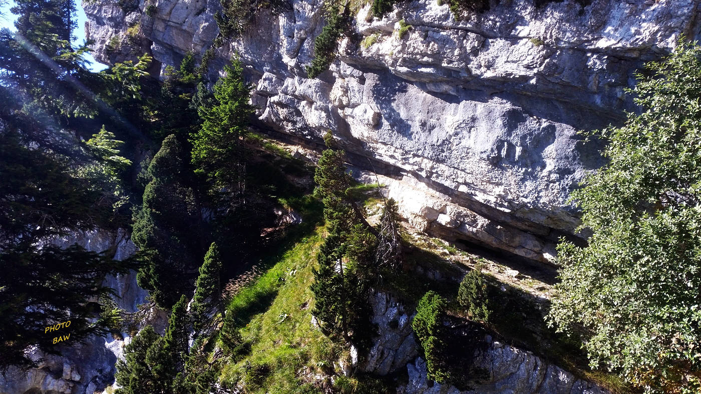 sangle de la tour percée en chartreuse
