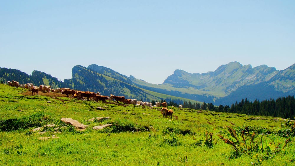 randonnée au Mont Pinet massif de la Chartreuse