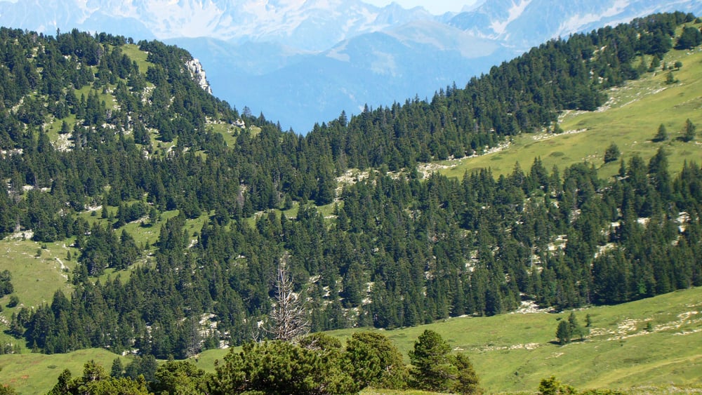 randonnée au Mont Pinet massif de la Chartreuse