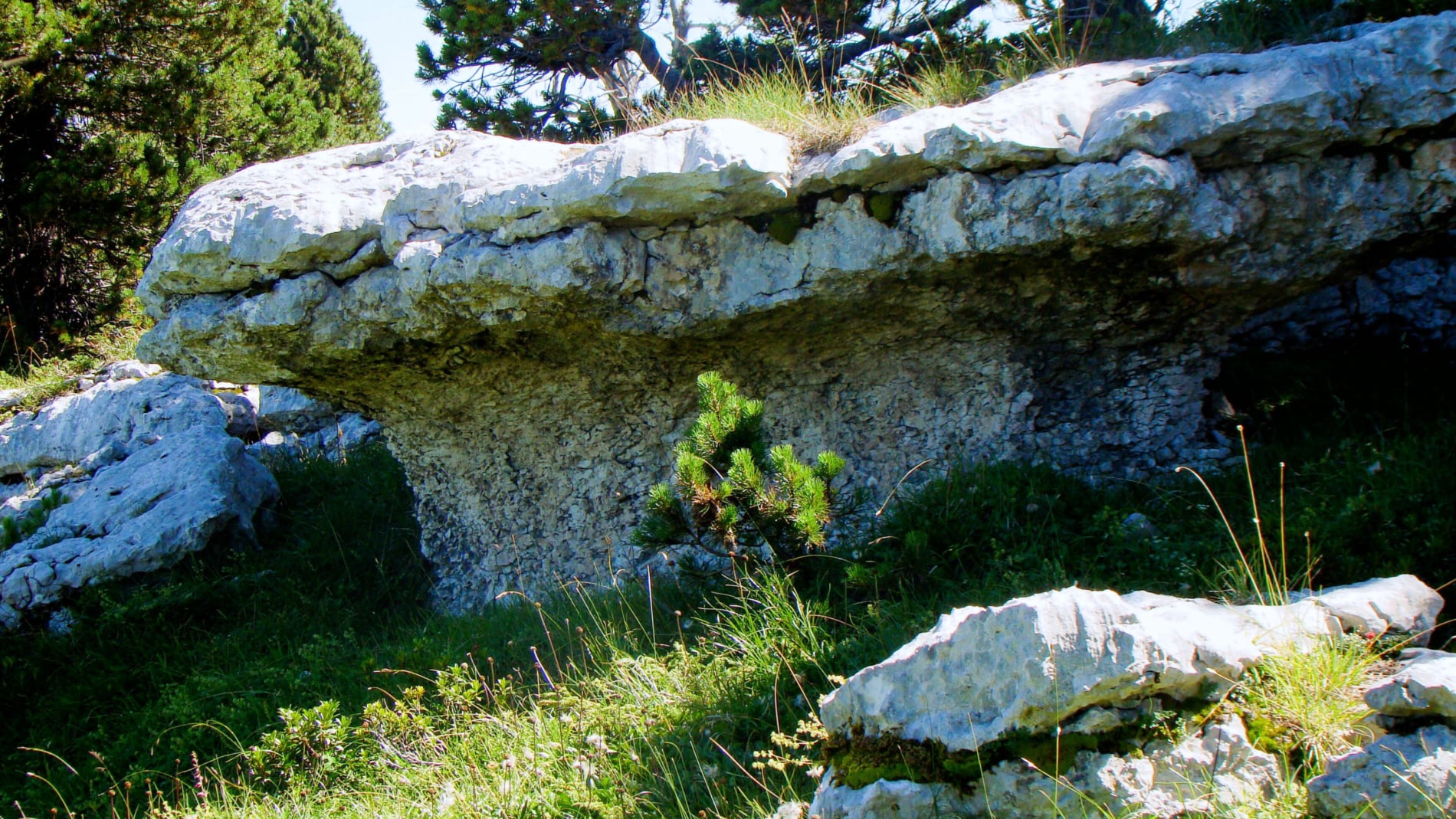 randonnée au mont Pinet les champignons de pierre massif Chartreuse