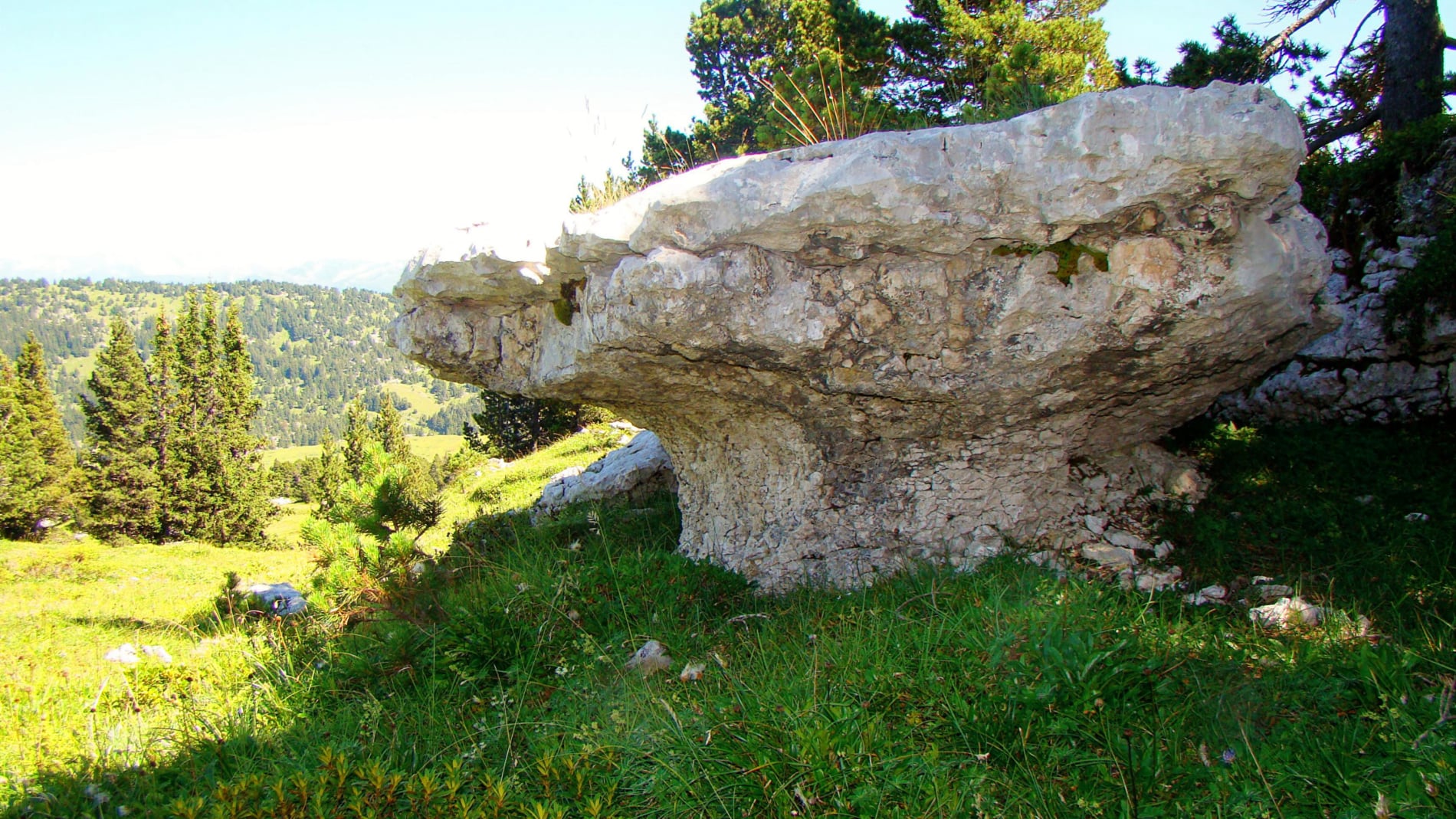 randonnée au mont Pinet les champignons de pierre massif Chartreuse