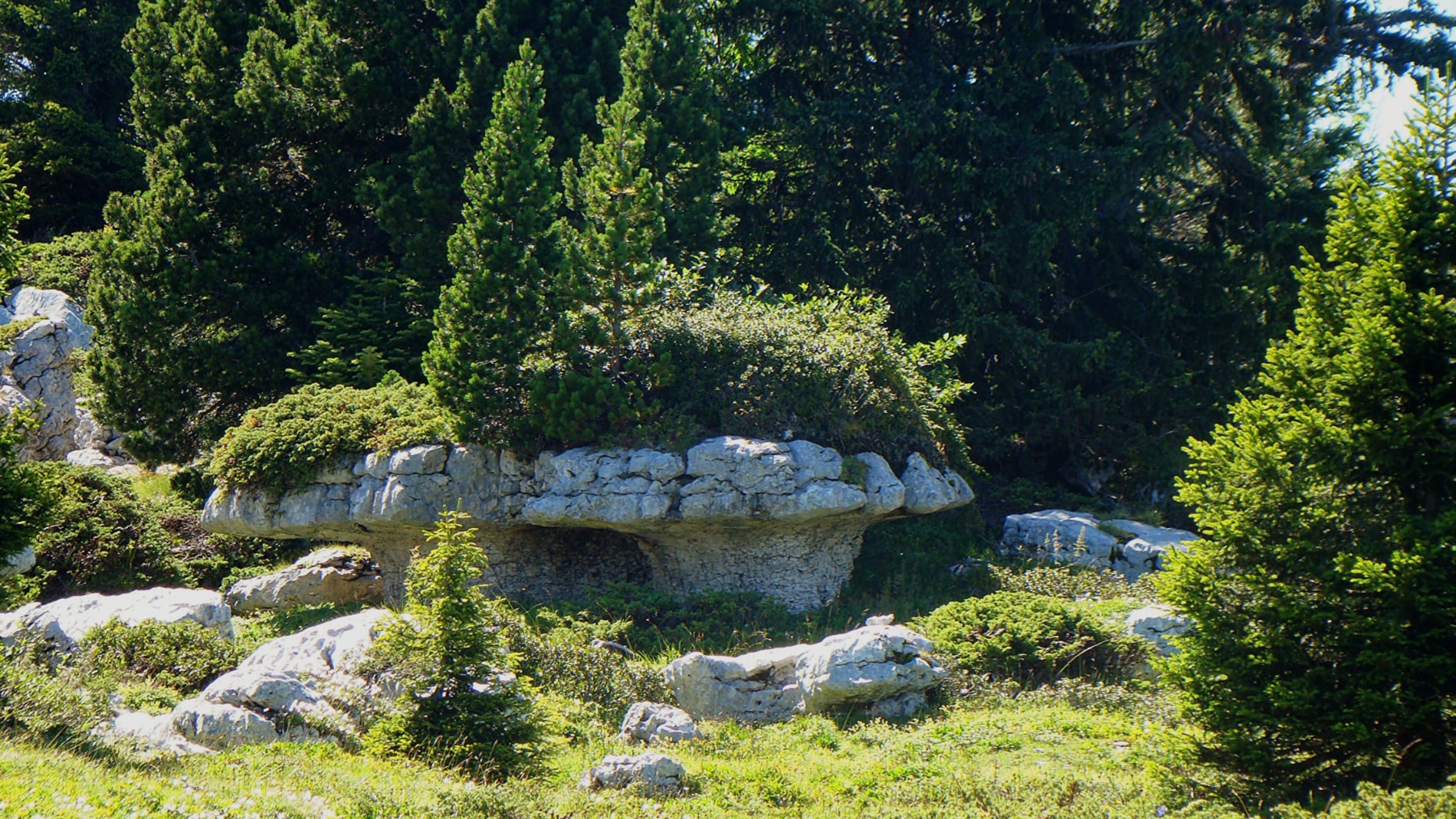 randonnée au mont Pinet les champignons de pierre massif Chartreuse