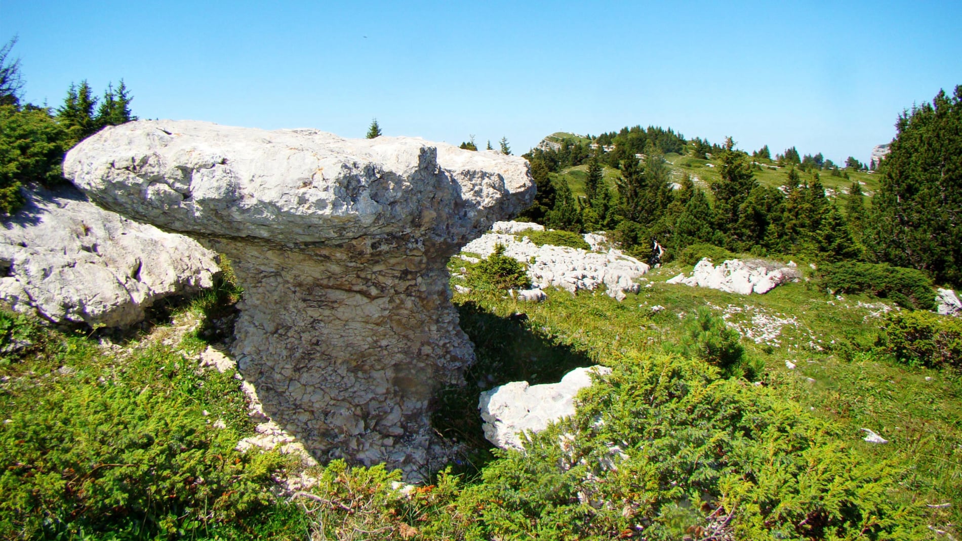 randonnée au mont Pinet les champignons de pierre massif Chartreuse