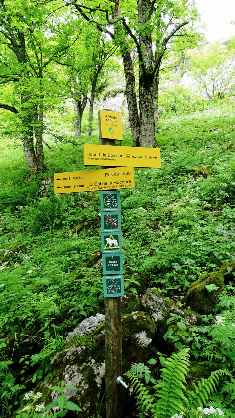  randonnée en chartreuse