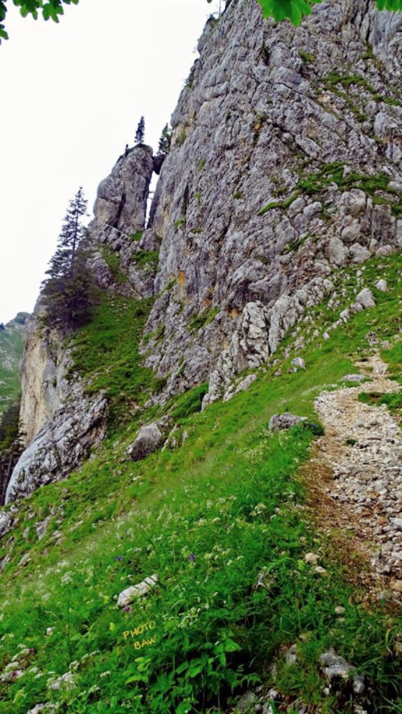 randonnée en chartreuse