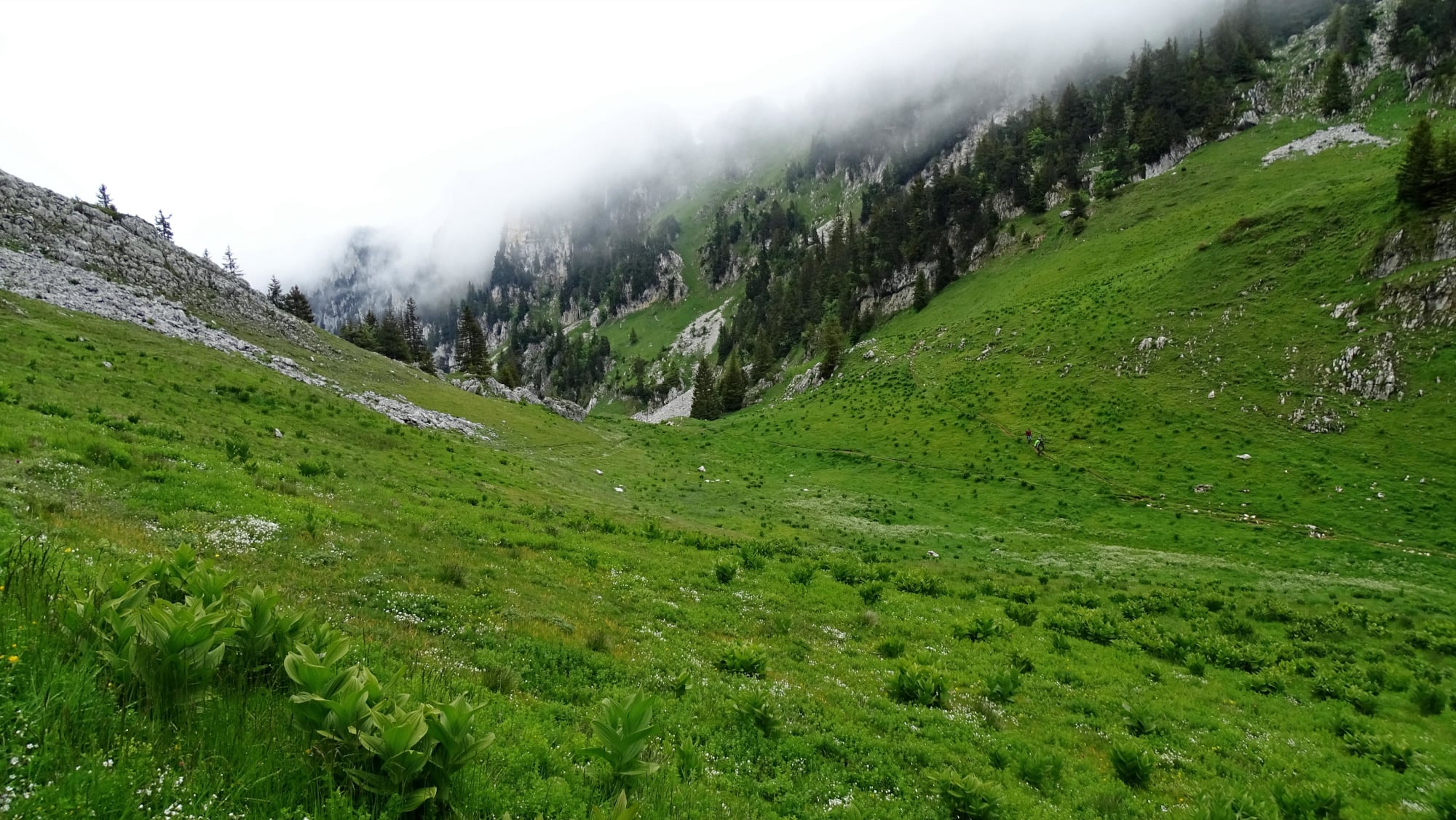 le habert de Bovinant randonnée massif Chartreuse