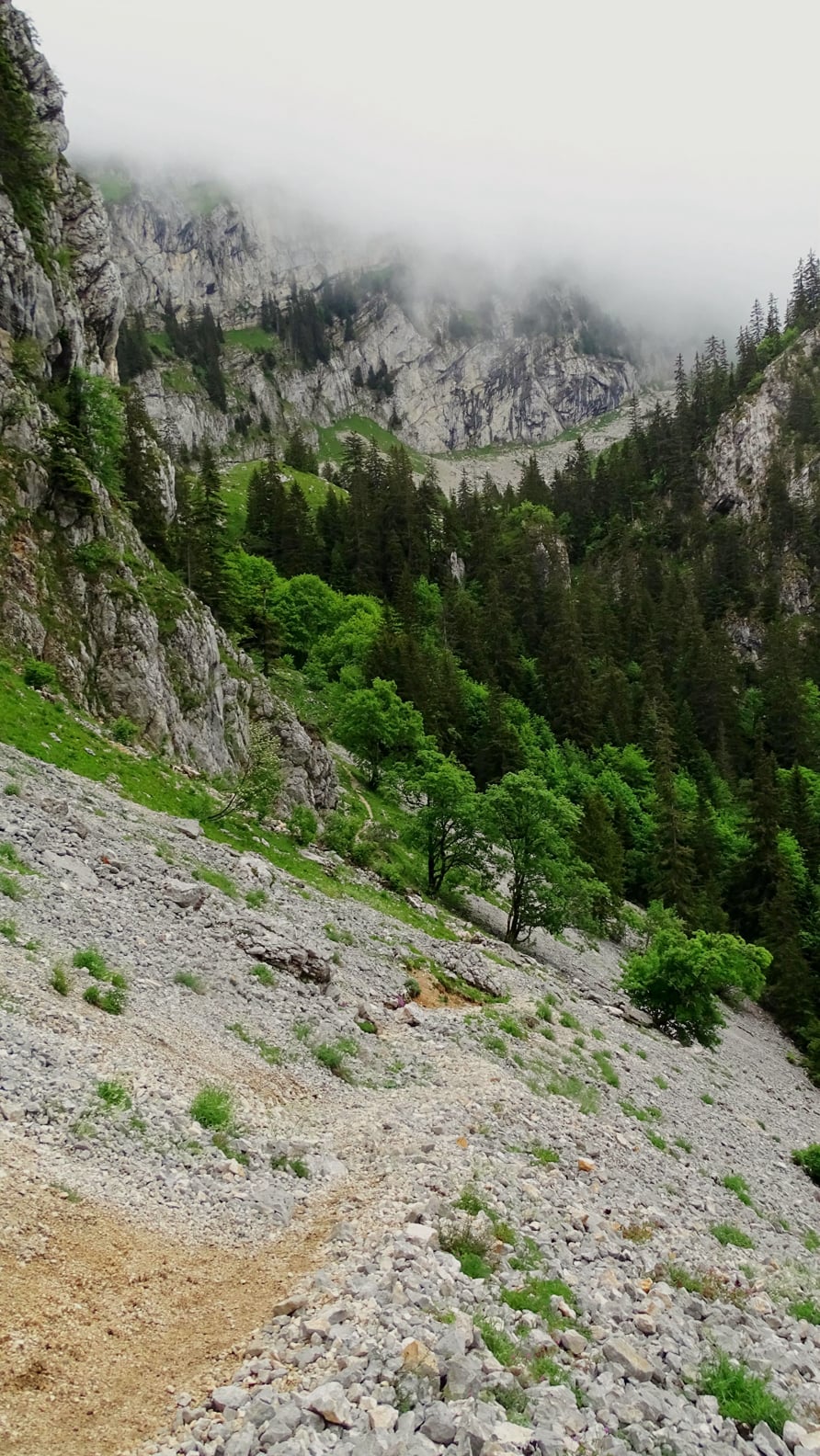 Pas du Loup randonnée massif de la  Chartreuse