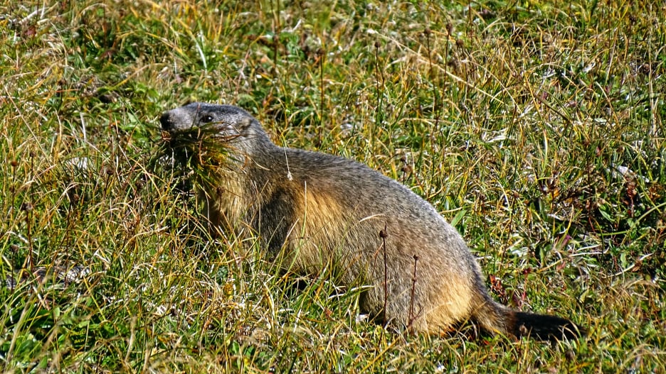 Dent de Crolles randonnée en Chartreuse