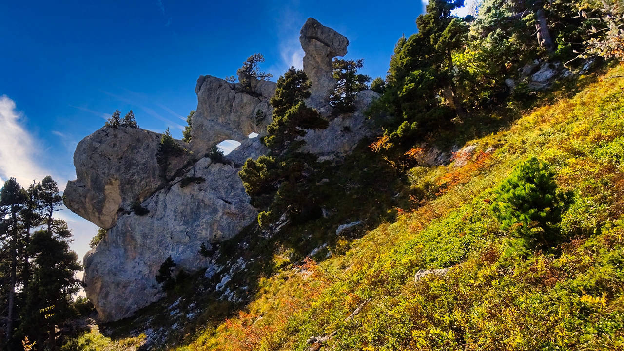 Rocher Dromadaire sangle de Belles ombres randonnée massif de la Chartreuse Chartreuse