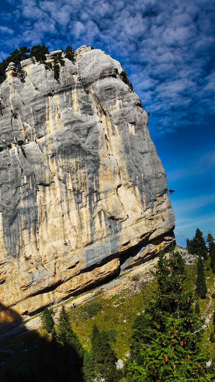 randonnée massif de la Chartreuse sangle de Belles Ombres 