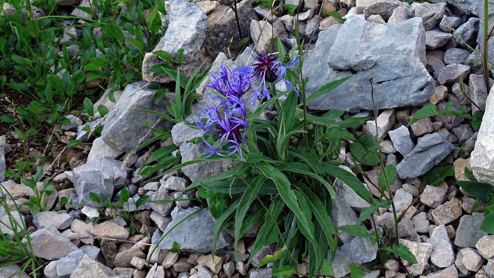 Le Guiers mort randonnée en Chartreuse