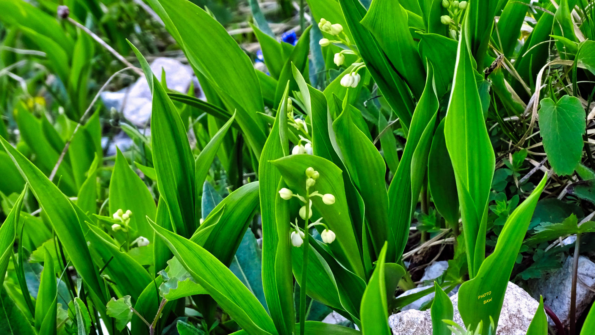 Le Guiers mort randonnée en Chartreuse