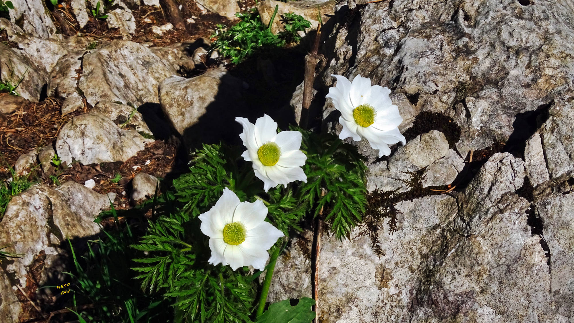 Le Guiers mort randonnée en Chartreuse