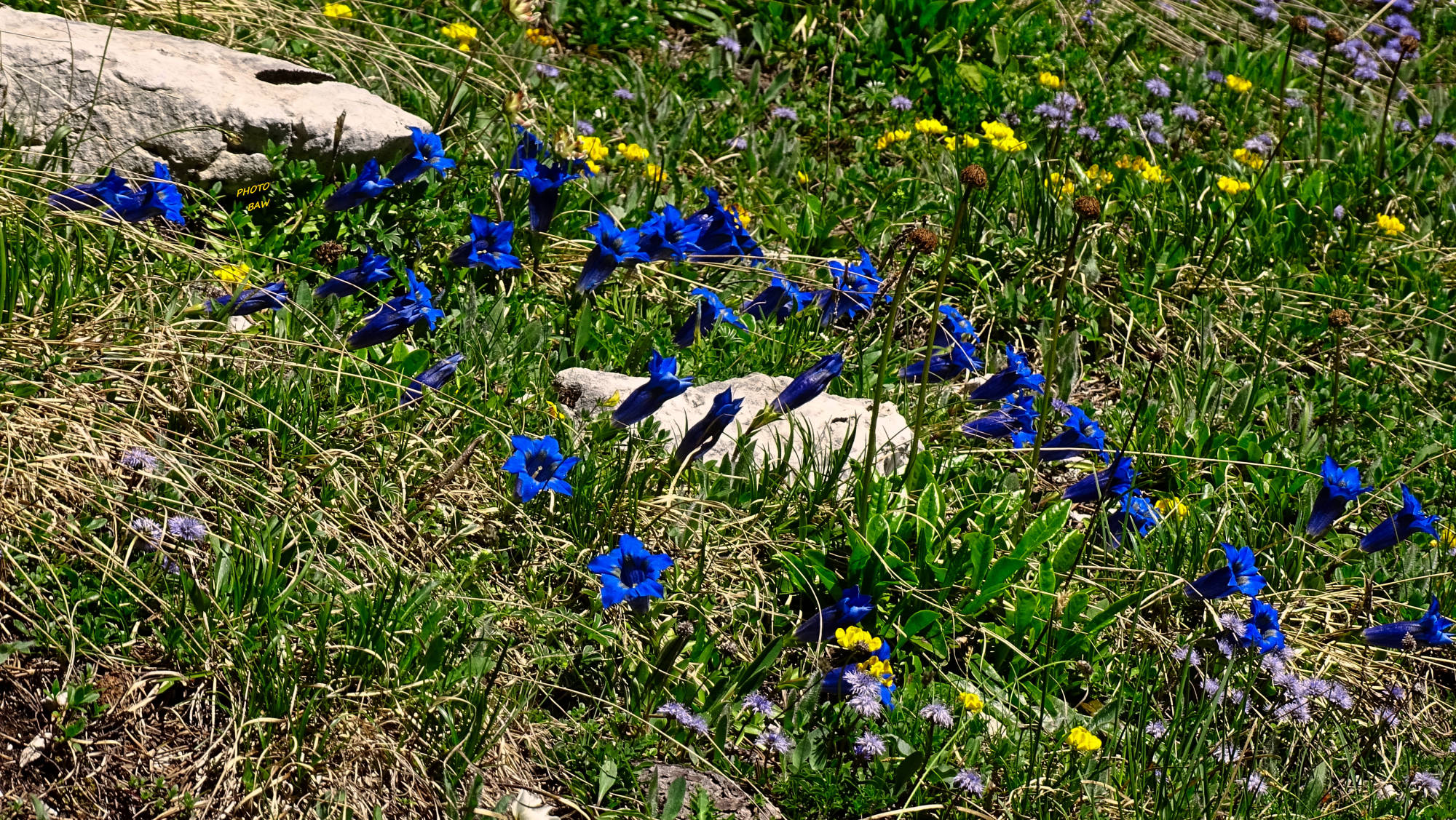 Le Guiers mort randonnée en Chartreuse