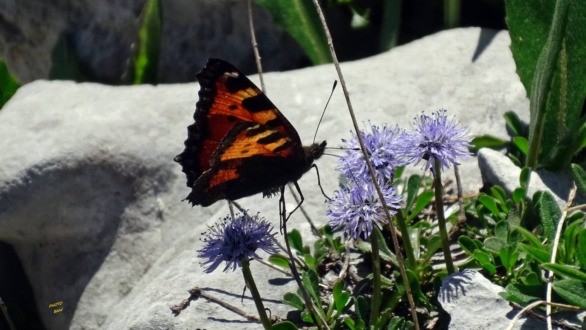 Le Guiers mort randonnée en Chartreuse