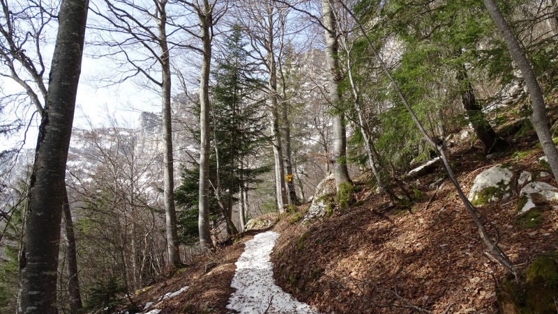 randonnée au pas et à la grotte de la Rousse massif de la Chartreuse