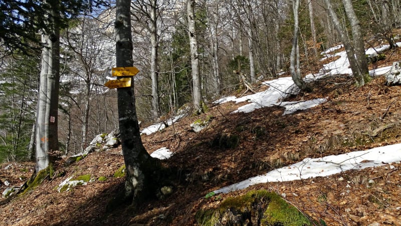 randonnée au pas et à la grotte de la Rousse massif de la Chartreuse
