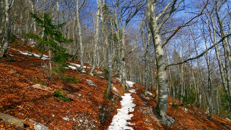 randonnée au pas et à la grotte de la Rousse massif de la Chartreuse