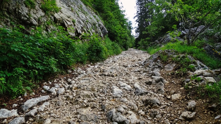 Randonnée Grande Sure massif de la Chartreuse