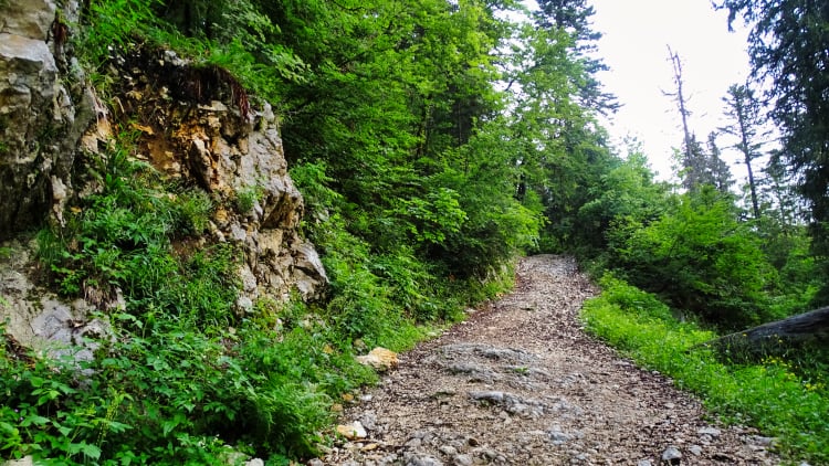 Randonnée Grande Sure massif de la Chartreuse