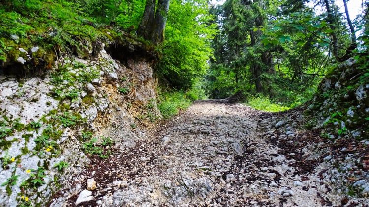 Randonnée Grande Sure massif de la Chartreuse