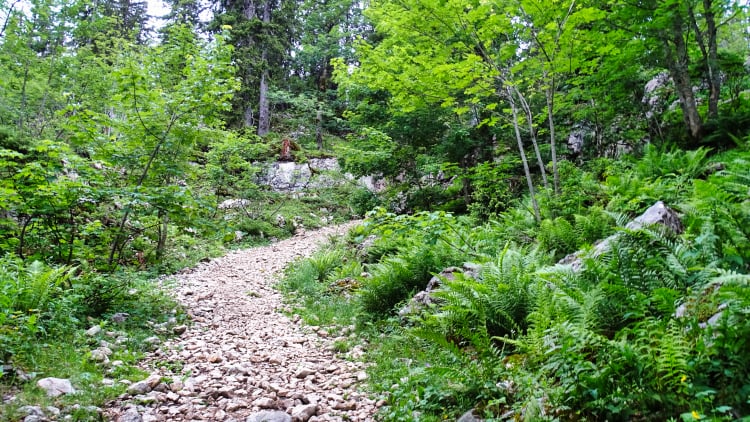 Randonnée Grande Sure massif de la Chartreuse