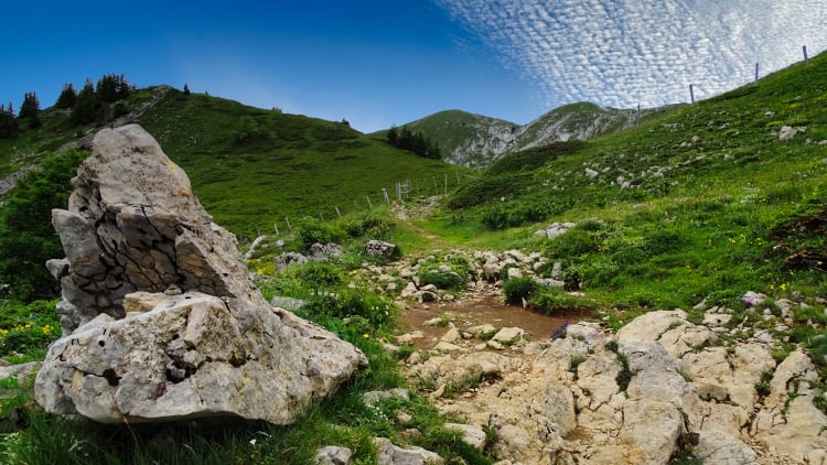 Randonnée Grande Sure massif de la Chartreuse