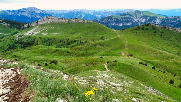 Randonnée Grande Sure massif de la Chartreuse