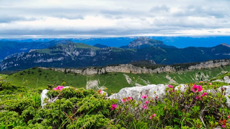 Randonnée Grande Sure massif de la Chartreuse