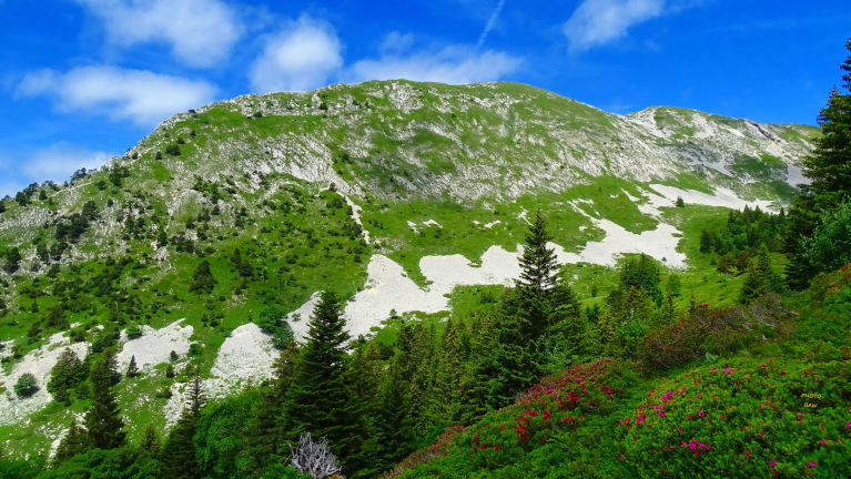 randonnée en  Chartreuse la Grande Sure