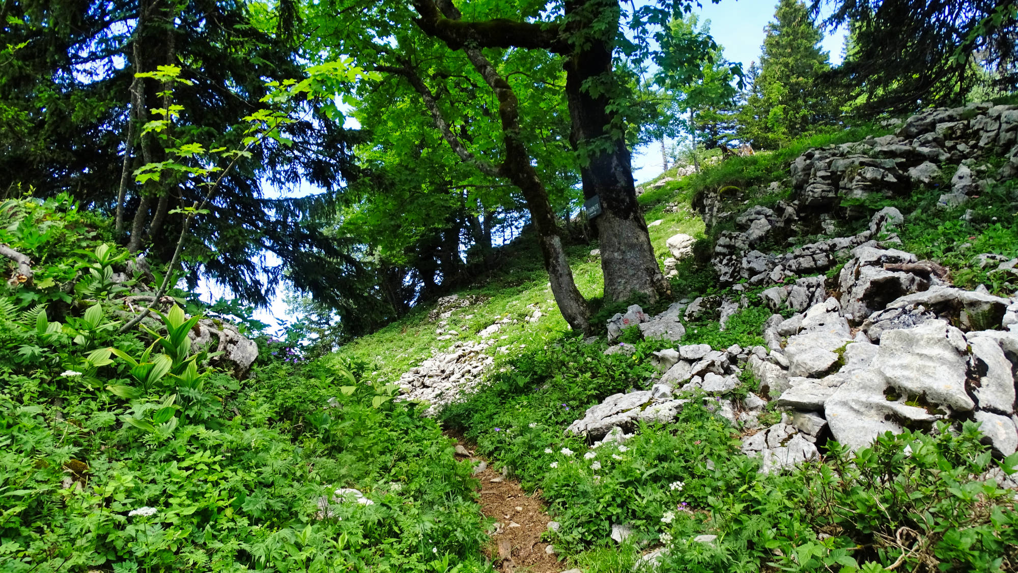 Randonnée en Chartreuse le goulet d'Hurtières