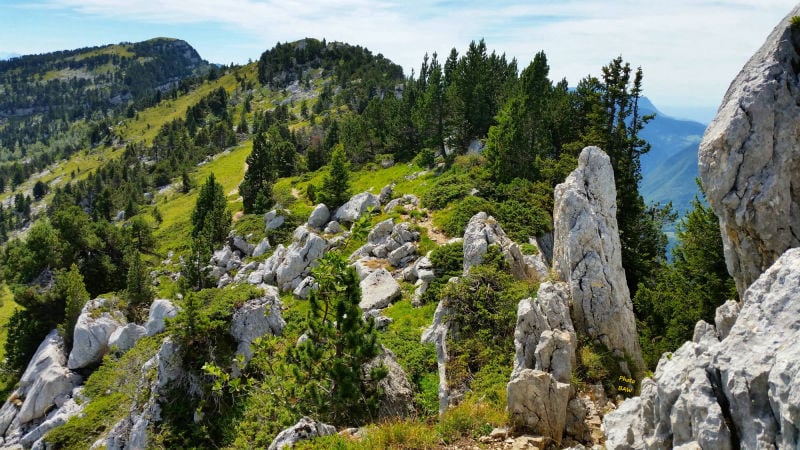 randonnée dans le  massif de la Chartreuse au Mont Granier  GG