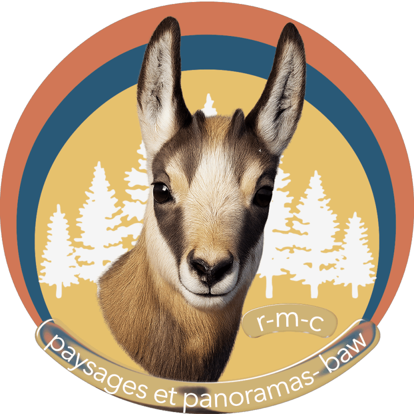 les chamois de Chartreuse à protéger !