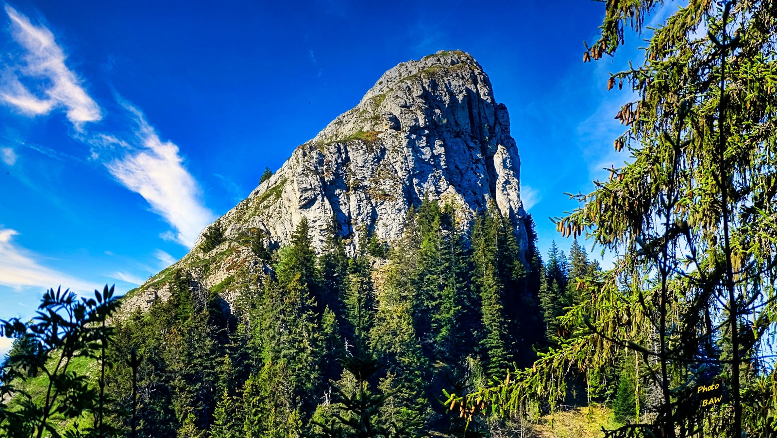 randonnée à la Pinéa  massif de la Chartreuse